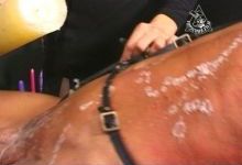 Tender Amateur Teen Sluts Screaming For Mercy As They Are Bound And Have Hot Wax Poured Over Their Gaping Pussies - Free Pics, Free Movies, Free Tour, Bondage, Bondage Teens, Bondage Amateurs, Bondage Slaves, Bondage Sluts, BDSM, BDSM Teens, BDSM Amateurs, BDSM Slaves, BDSM Sluts, Pain, Pain Sluts, Agony, Abuse, First Time, Real Teens, Real Amateurs, Real Women, Real Slaves, Amateur Slaves, Mature Slaves, Teen Slaves, Slave Wives, Classic Bondage, Hard Bondage, Free Air Bondage, Suspension, Breast Bondage, Breast Punishment, Breast Torture, Extreme, Branding, Breath Control, Exposed, Exposure, Public Exposure, Humiliated, Humiliation, Public Humiliation, Violated, Violation, Slave Sharing, Slave Orgies, Needle Play, Piercings, Spanking, Flogging, Canes, Paddles, Whips, Switches, Birch Branches, Public Punishment, Pony Girls, Toilet Duty, Pussy Punishment, Pussy Torture, Slave Training, Lesbian Slaves, Domination, FemDom, MaleDom, Male House Slaves, Waxing, Mummification, Sex Slaves, Slave Holes, Cages, Insertions, Slave Holes, Attics, Dungeons, Piercing, Teen, Lesbian, Virgin, Young, Toys, Group, Masturbation, Foreplay, Pics, Pictures, Movies, Video, Streaming, Download, Lesbos, Blonde, Brunette, Redhead, Mature, Babes, Petite, Busty, Shaved, Bushy, Pussy, Ass, Tits, Breasts, Dildos, Strapons, Kissing, Sucking, Licking, Fucking, Nipples, Anal, Objects, First Time, Cumming, Ebony, Asian, Latino, Japanese, Interracial, Black, White, Hardcore, Facials, Cum, Cumshot, Sperm, Jizz, Blowjobs, Head, Sucking, Fucking, Explicit, Fetish, Kinky, Bizarre, Taboo, Banned, Extreme