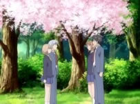 megami anime fansub