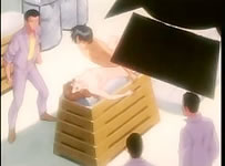one piece hentai fucking