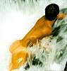 rd_wetmen_588.jpg