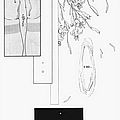 anime hentai manga yuri shoujo 274