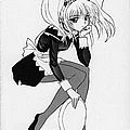 anime nadesico solid state parasanga 21