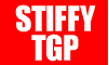stiffy TGP